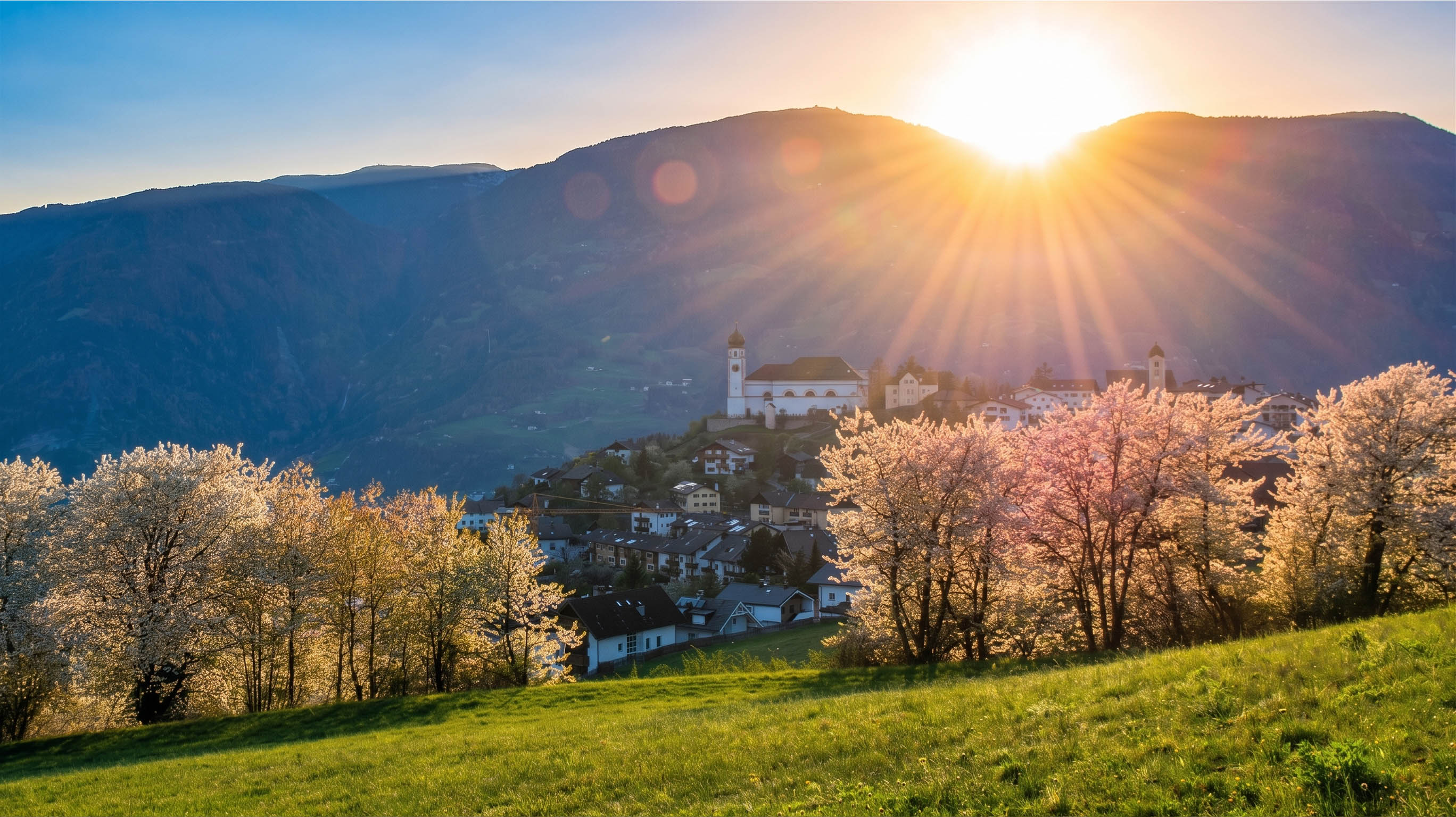 Contatti B&B Arca di Noè